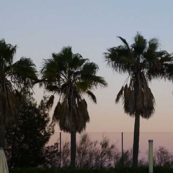 main3