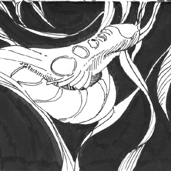 automatic-drawing-3
