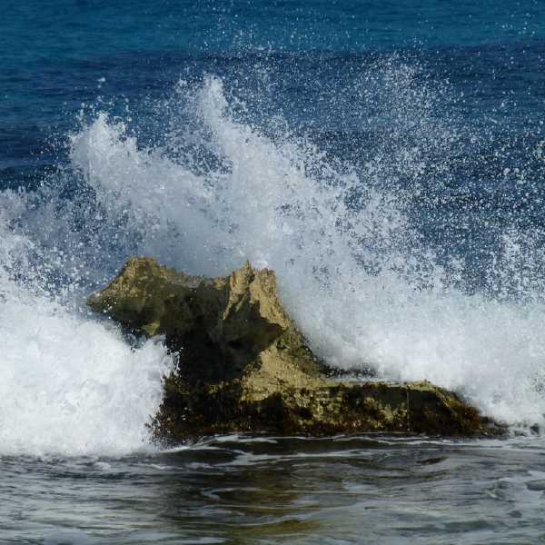 P1030375
