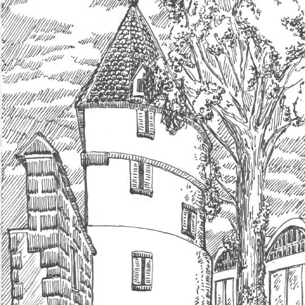drawing-8