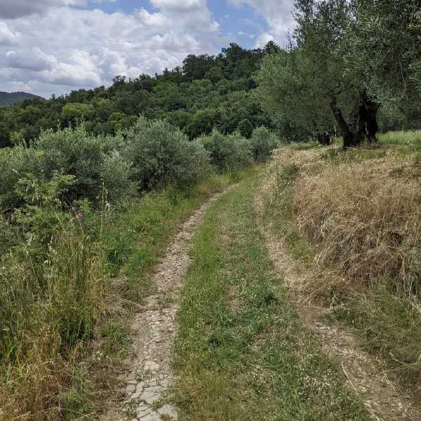 PXL_20240610_111743749