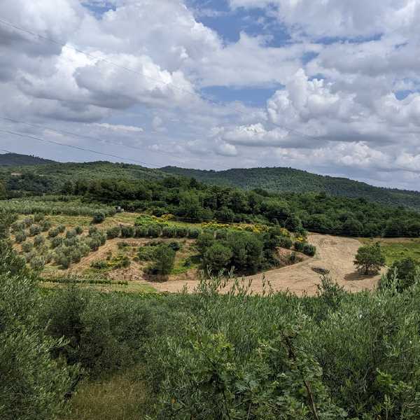 PXL_20240610_111747888