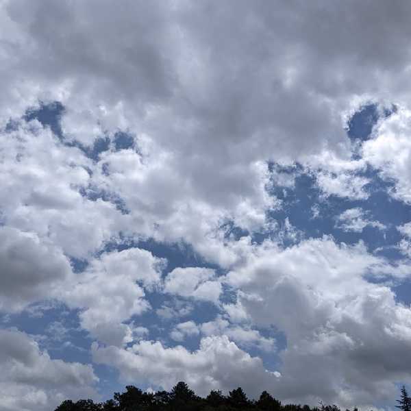 PXL_20240610_111952866