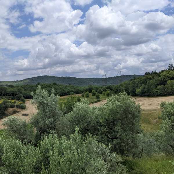 PXL_20240610_112009704