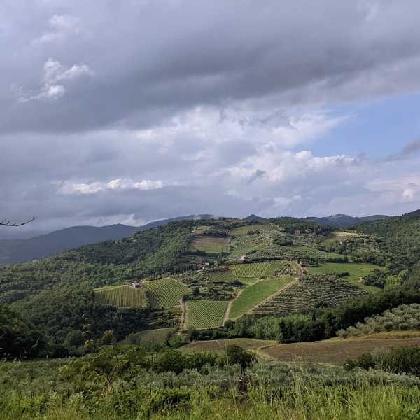 PXL_20240610_161318638